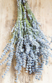 Essential Oil - Lavender (France) 12 ml, 36 ml, 50 ml, 100 ml